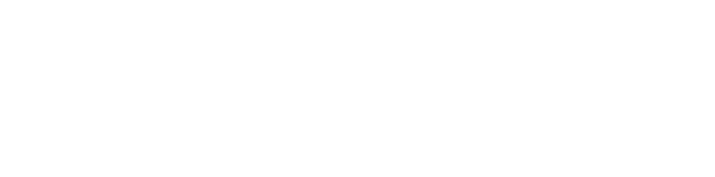 Blaguss Logo weiss