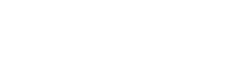 Blaguss Minibus Logo weiss